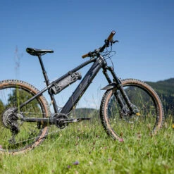 Fazua Energy Bag - E-Bike Akku Tasche -Fahrradzubehör fazua energy bag action