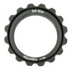 Fazua Ride 60 Lockring