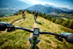 Giant Dash 200 E-Bike & Fahrradcomputer -Fahrradzubehör giant dash l200 e bike fahrradcomputer e mtb